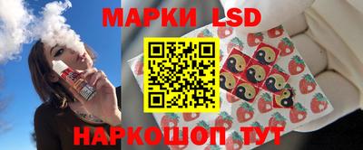 стафф Гатчина