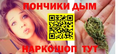 стафф Гатчина
