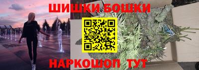 стафф Гатчина