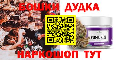 стафф Гатчина
