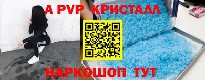 стафф Гатчина