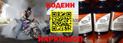 стафф Гатчина