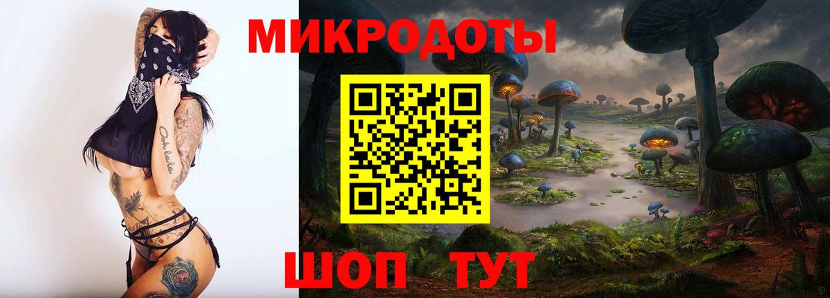 Ишимбай  Галлюциногенные грибы Psilocybine cubensis  Вход с VPN 